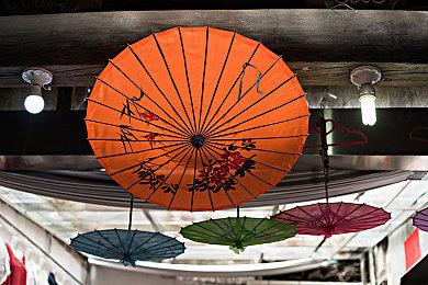 Epic喜加三：《袋鼠闯天关》《Against All Odds》《追踪地平线》免费领